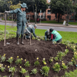 Bilbao florece: Jardín Botánico lidera transformación verde en Suba