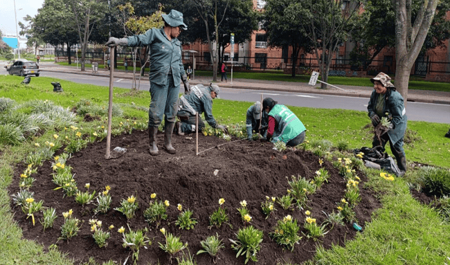 Bilbao florece: Jardín Botánico lidera transformación verde en Suba