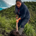 Mujeres cabeza de hogar sembrarán yuca y criarán gallinas en 313 hectáreas entregadas por el Gobierno