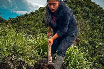 Mujeres cabeza de hogar sembrarán yuca y criarán gallinas en 313 hectáreas entregadas por el Gobierno