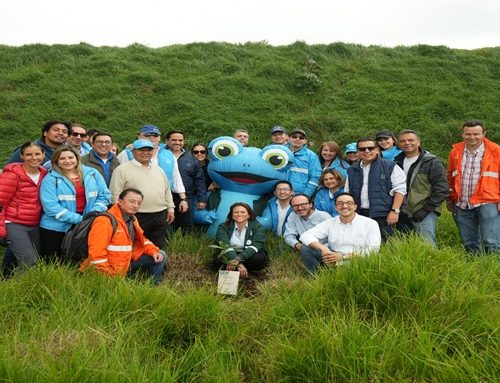 Acueducto de Bogotá sembrará 7 mil árboles en predios de la futura PTAR Canoas