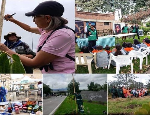 Semana ambiental transformó a Suba en un pulmón verde