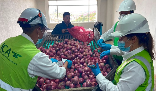 ICA y aliados incautan toneladas de semillas