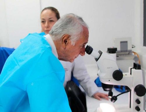 Ministerio de Salud Urge Vacunación contra la Fiebre Amarilla Ante Próximas Vacaciones y Aumento de Casos