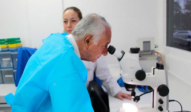 Ministerio de Salud Urge Vacunación contra la Fiebre Amarilla Ante Próximas Vacaciones y Aumento de Casos
