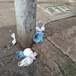 Vecinos de Suba denuncian acumulación de bolsas con excremento canino