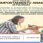 Chapinero lanza curso virtual gratuito para entender a tu mascota