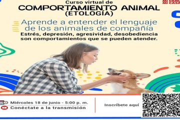 Chapinero lanza curso virtual gratuito para entender a tu mascota