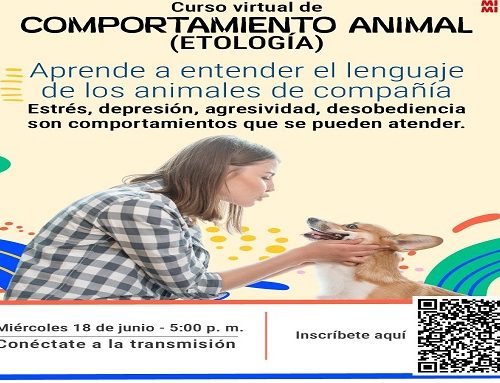 Chapinero lanza curso virtual gratuito para entender a tu mascota