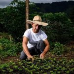 Exportaciones del agro colombiano aumentaron 26,2 %