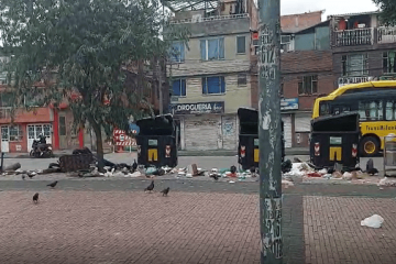 Basura, plagas y silencio: ¿dónde está la Alcaldía Local?