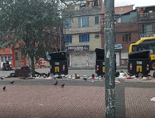 Basura, plagas y silencio: ¿dónde está la Alcaldía Local?