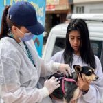 Jornada de cuidado animal en Suba: Vacunación gratuita para perros y gatos este 18 de julio