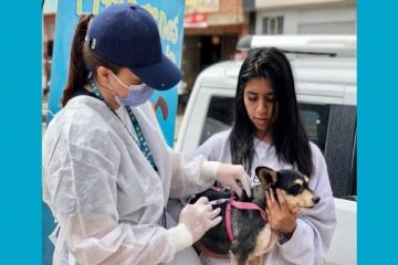 Usaquén impulsa jornada gratuita de atención veterinaria en El Codito