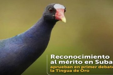 Aprueban en primer debate proyecto para crear la condecoración ‘Tingua de Oro’ en Suba