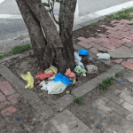 Suba en alerta: Residentes claman por soluciones ante contaminación por excrementos caninos en parques y espacio público.