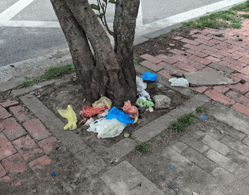 Urgente llamamiento en Suba: Bolsas de colores agravan la contaminación por excrementos caninos