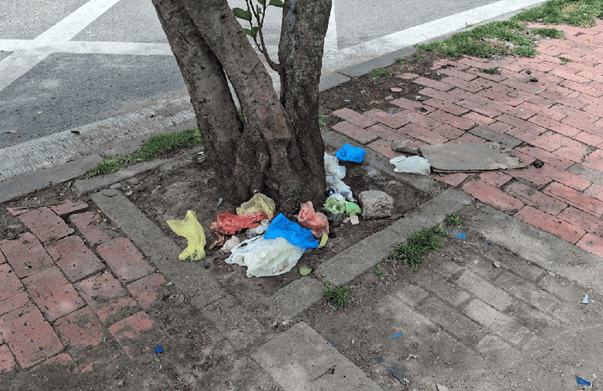 Suba en alerta: Residentes claman por soluciones ante contaminación por excrementos caninos en parques y espacio público.