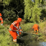 Humedal La Conejera fue intervenido con labores de corte de material vegetal