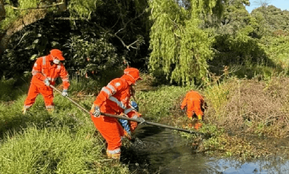 Humedal La Conejera fue intervenido con labores de corte de material vegetal