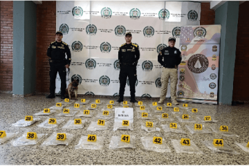 ¡Heroína de Cuatro Patas! ‘Kira’ Detiene Envío de 25 Kilos de Marihuana Ocultos en una Cama