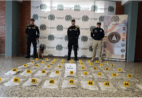¡Heroína de Cuatro Patas! ‘Kira’ Detiene Envío de 25 Kilos de Marihuana Ocultos en una Cama