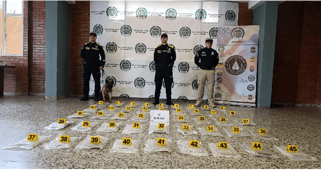 ¡Heroína de Cuatro Patas! ‘Kira’ Detiene Envío de 25 Kilos de Marihuana Ocultos en una Cama