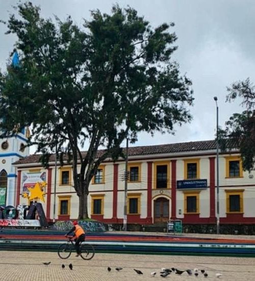 Suba se abre al mundo con educación, empleo y acción climática