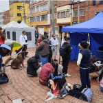 Bogotá anuncia 10.000 nuevos cupos de esterilizaciones de animales en octubre para estratos 1, 2 y 3