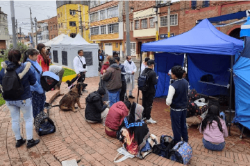 ¡Usaquén se pone la 10 con los peluditos! Llegan jornadas gratuitas para mascotas