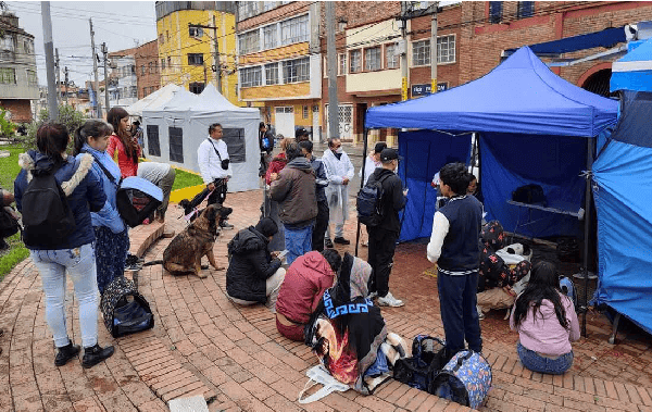 Bogotá anuncia 10.000 nuevos cupos de esterilizaciones de animales en octubre para estratos 1, 2 y 3