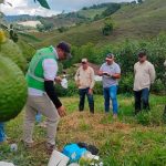 Mercados