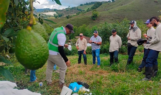 Mercados