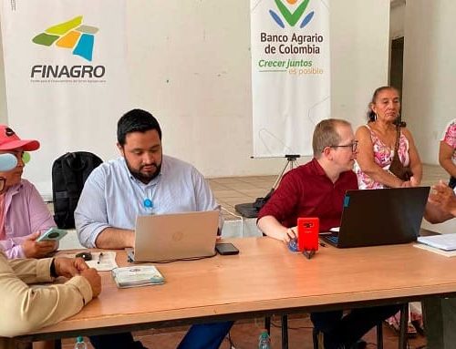 Gobierno fortalece a los arroceros con alivios financieros y nuevas líneas de crédito
