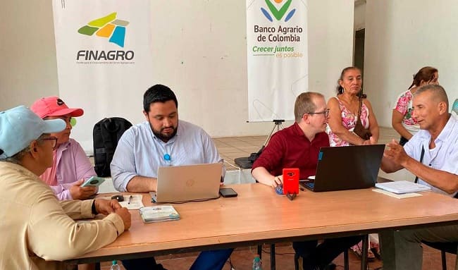 Gobierno fortalece a los arroceros con alivios financieros y nuevas líneas de crédito