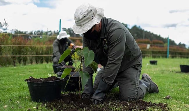 Gobierno reglamenta la Ley de Áreas de Vida