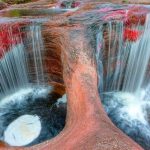 Colombia y Arabia Saudita sellan alianza estratégica en comercio, agroindustria y turismo