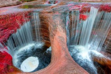 Colombia y Arabia Saudita sellan alianza estratégica en comercio, agroindustria y turismo