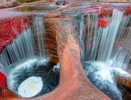 Colombia y Arabia Saudita sellan alianza estratégica en comercio, agroindustria y turismo