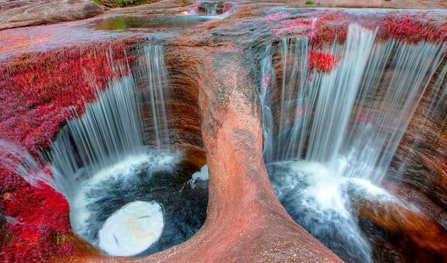 Colombia y Arabia Saudita sellan alianza estratégica en comercio, agroindustria y turismo