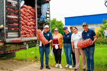Productores de papa recibirán apoyo del Ministerio de Agricultura