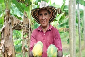 Alianzas productivas fortalecen la autonomía indígena