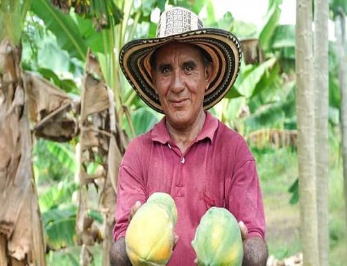 Alianzas productivas fortalecen la autonomía indígena