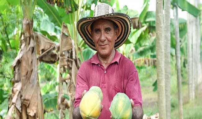 Alianzas