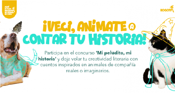 Alcaldía Local de Suba lanza el concurso de cuentos ‘Mi peludito, mi historia’