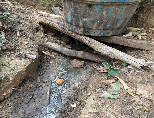 CAR frena vertimientos contaminantes de granja porcícola en Arbeláez
