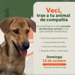 ¡Jornada de Bienestar Animal en Suba este domingo!