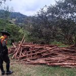 CAR y Policía frenan devastación de bosque seco tropical en Sumapaz