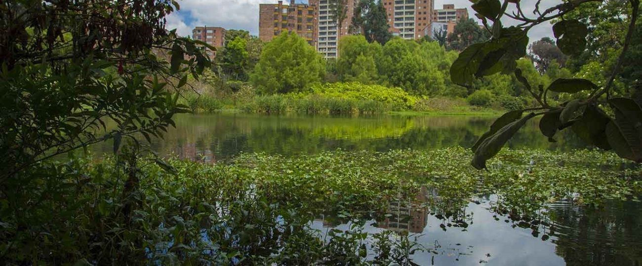 Graves denuncias hace la comunidad de Niza por la contaminación en el humedal Córdoba por 61 conexiones erradas que generan mal olor