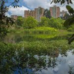 Graves denuncias hace la comunidad de Niza por la contaminación en el humedal Córdoba por 61 conexiones erradas que generan mal olor